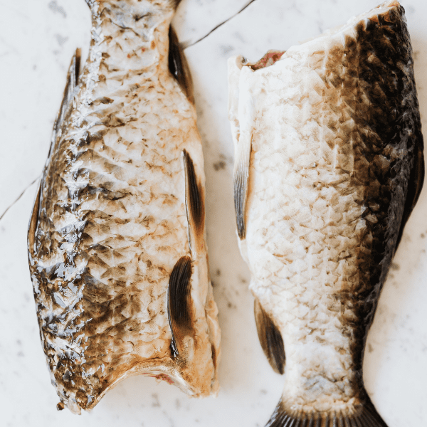 Как правильно выбрать свежую рыбу?