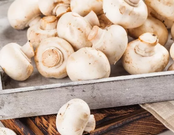 Что можно приготовить из грибов?